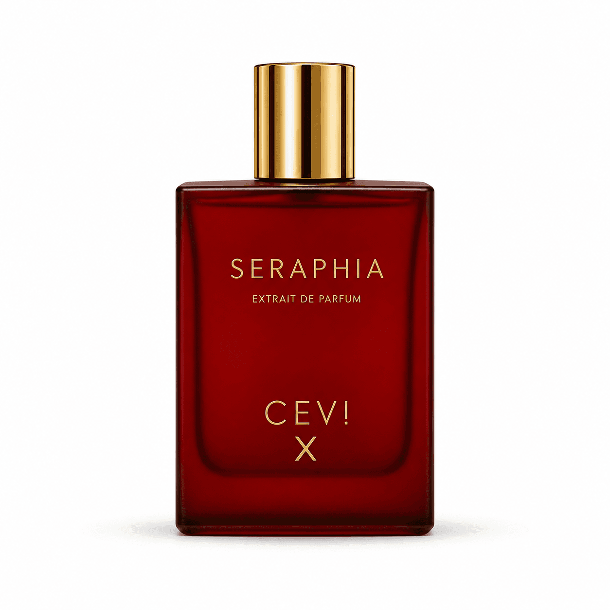 Cevi X Seraphia